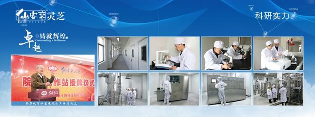 灵芝 亚健康人群的天然调养师与企业技术服务新机遇