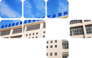 携手清华高端装备与智能制造产业园，共启科技孵化新篇章——企业技术服务招商启动